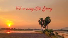 VỎ XE NÂNG TẠI AN GIANG